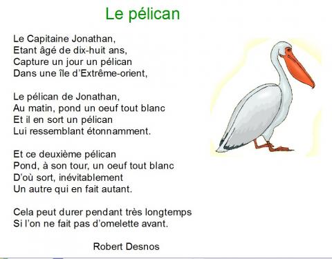 le pélican.jpg